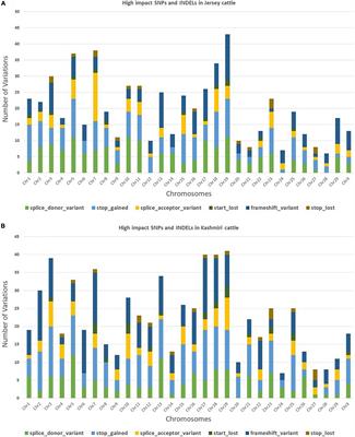 SNPs in Mammary Gland Epithelial Cells Unraveling Potential Difference in Milk Production Between Jersey and Kashmiri Cattle Using RNA Sequencing